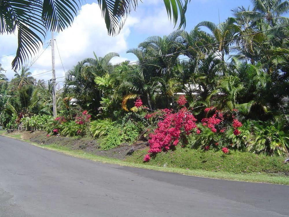 Aaron'S Cottage Hilo Zewnętrze zdjęcie